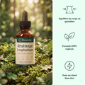Drainly® — Drainant Lymphatique