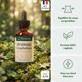 Drainant Lymphatique Drainly® - soutien traditionnel, formule liquide